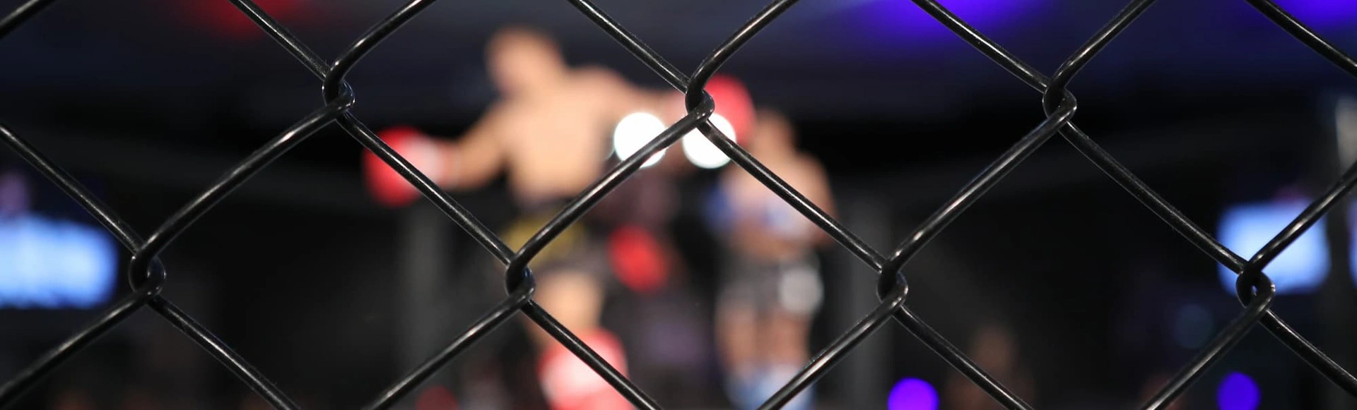 Рафаэль Физиев vs Матеуш Гамрот UFC Fight Night