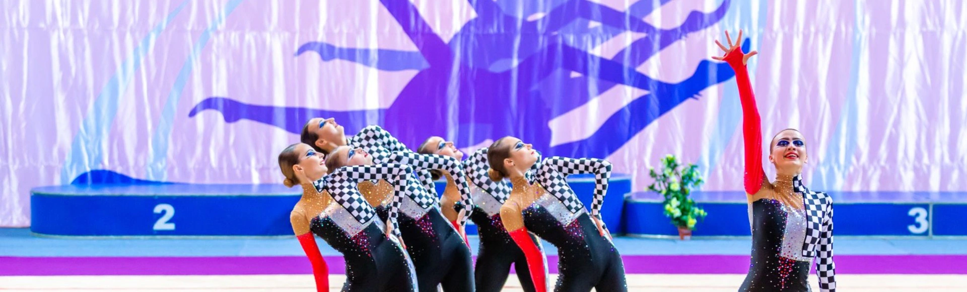 Чемпионат Европы по эстетической гимнастике