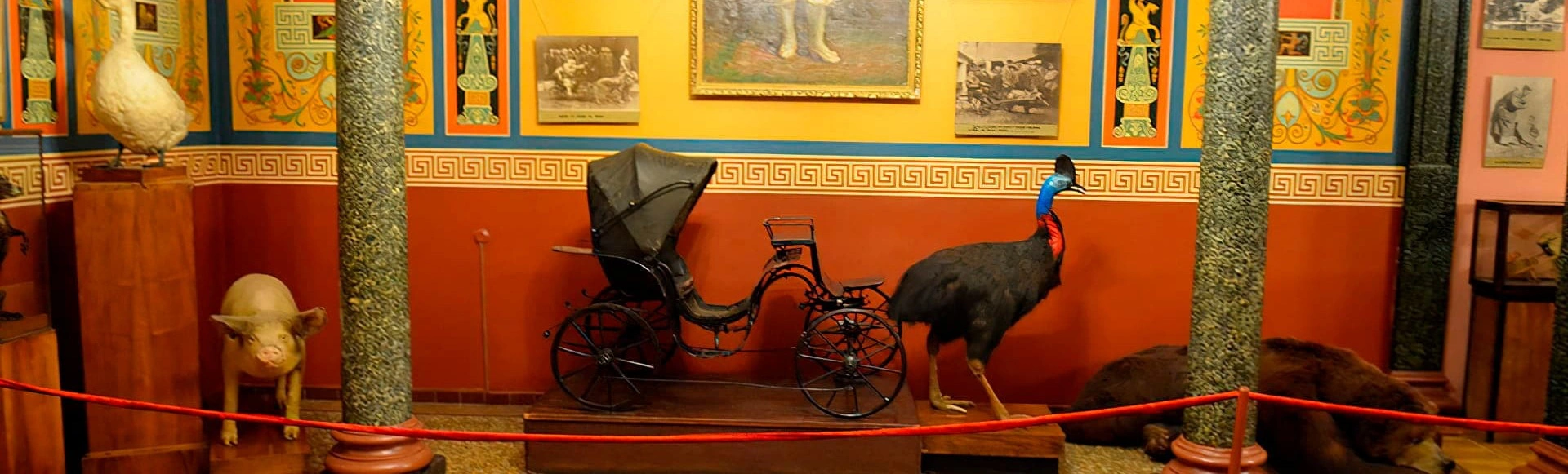 Экскурсия для малышей в музей «Уголок Дедушки Дурова»
