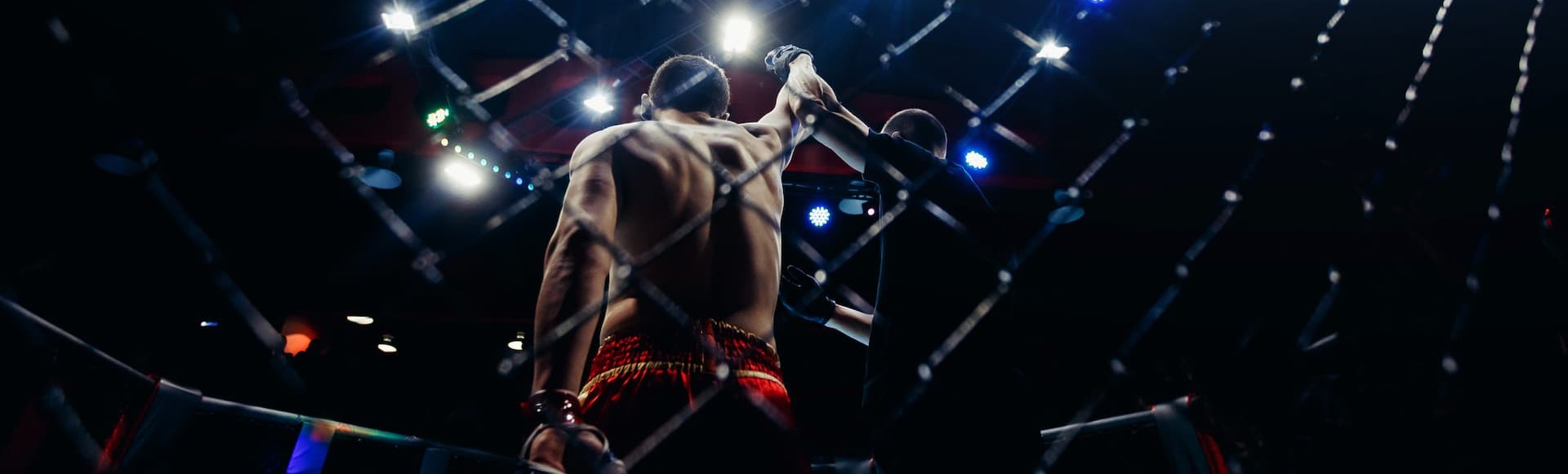 Билеты на единоборства "Champion Fight Club" Билеты на единоборства "Champion Fight Club"