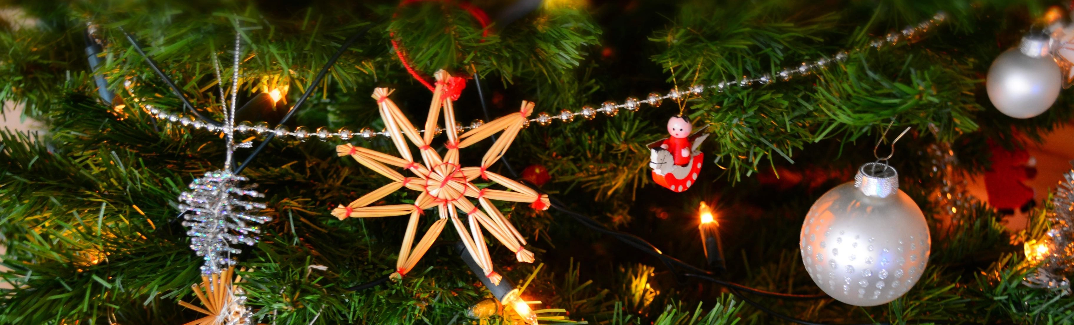 Дед Мороз и Снегурочка появятся на красочном новогоднем шоу в Новосибирске