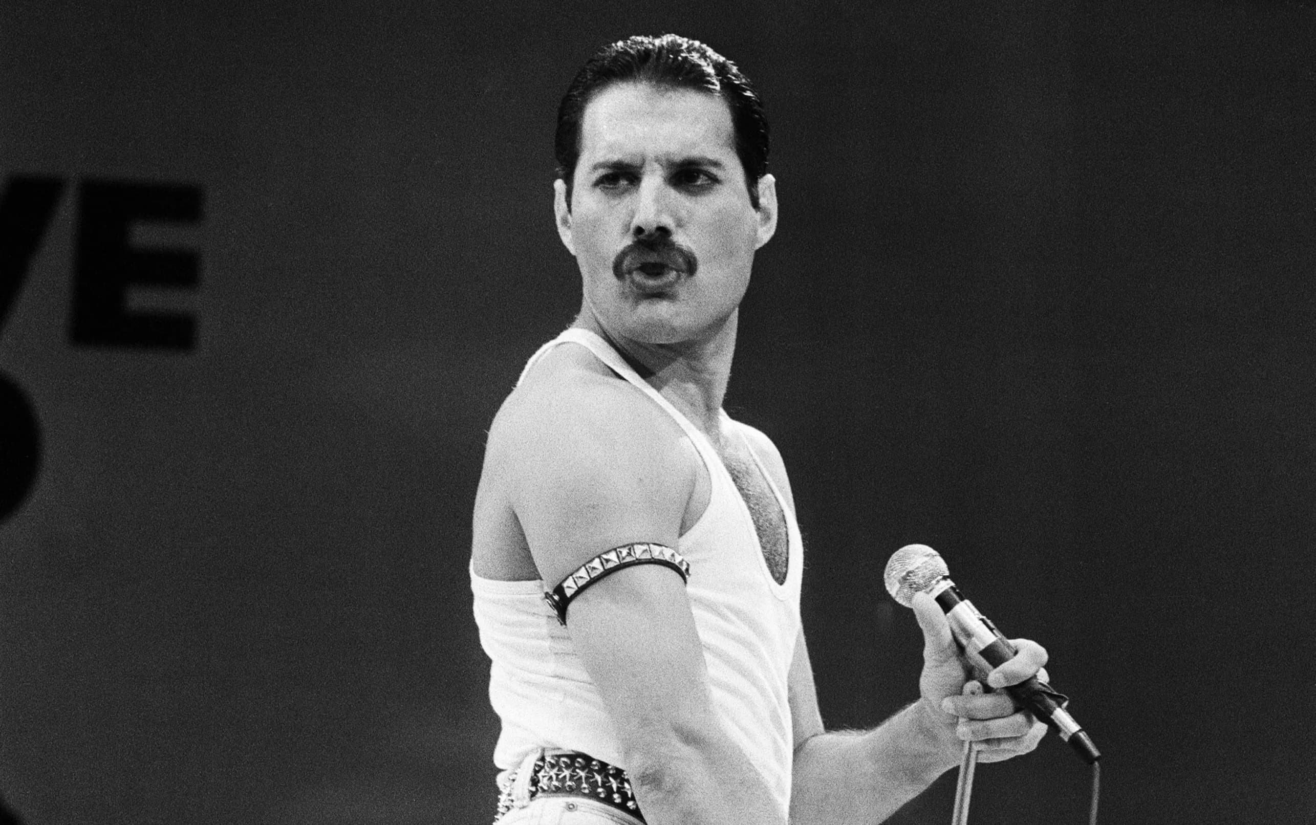 Freddie mercury