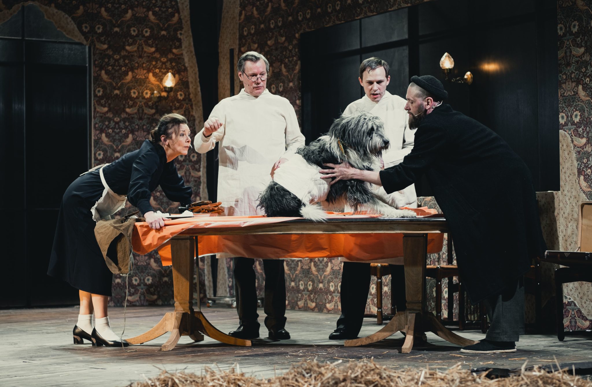 Спектакль собачье сердце с ливановым. Спектакль собачье сердце тюз нижний новгород. Собачье сердце тюз екатеринбург. Тюз собачье сердце москва. Спектакль собачье сердце 1987.