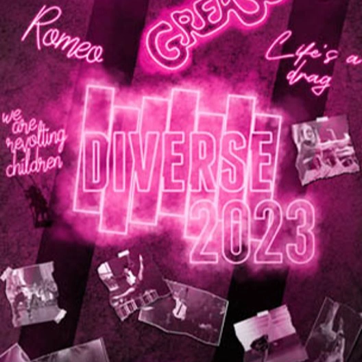 Bright and exciting event of this summer - "Dance show Diverse 2023"!
