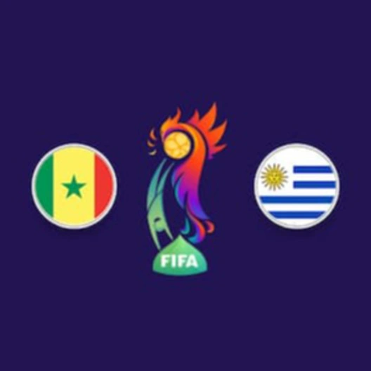 ЧМ по пляжному футболу FIFA, Сенегал - Уругвай