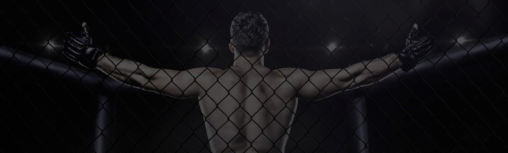 Билеты на поединок Александр Емельяненко vs Святослав Коваленко. Турнир «Бойцовский клуб РЕН ТВ» Билеты на поединок Александр Емельяненко vs Святослав Коваленко. Турнир «Бойцовский клуб РЕН ТВ»