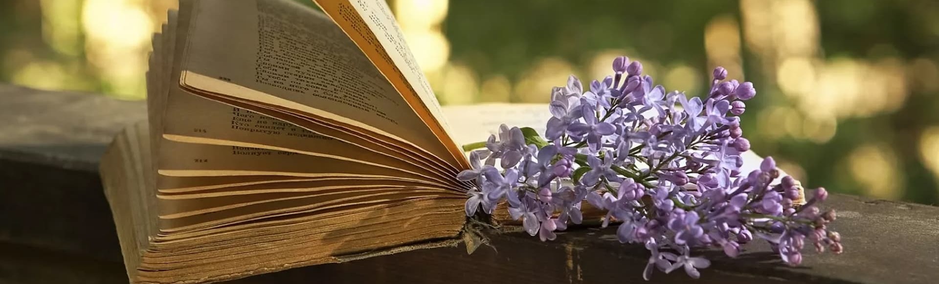 Билеты на поэтический вечер Екатерины Духовской
Билеты на поэтический вечер Екатерины Духовской