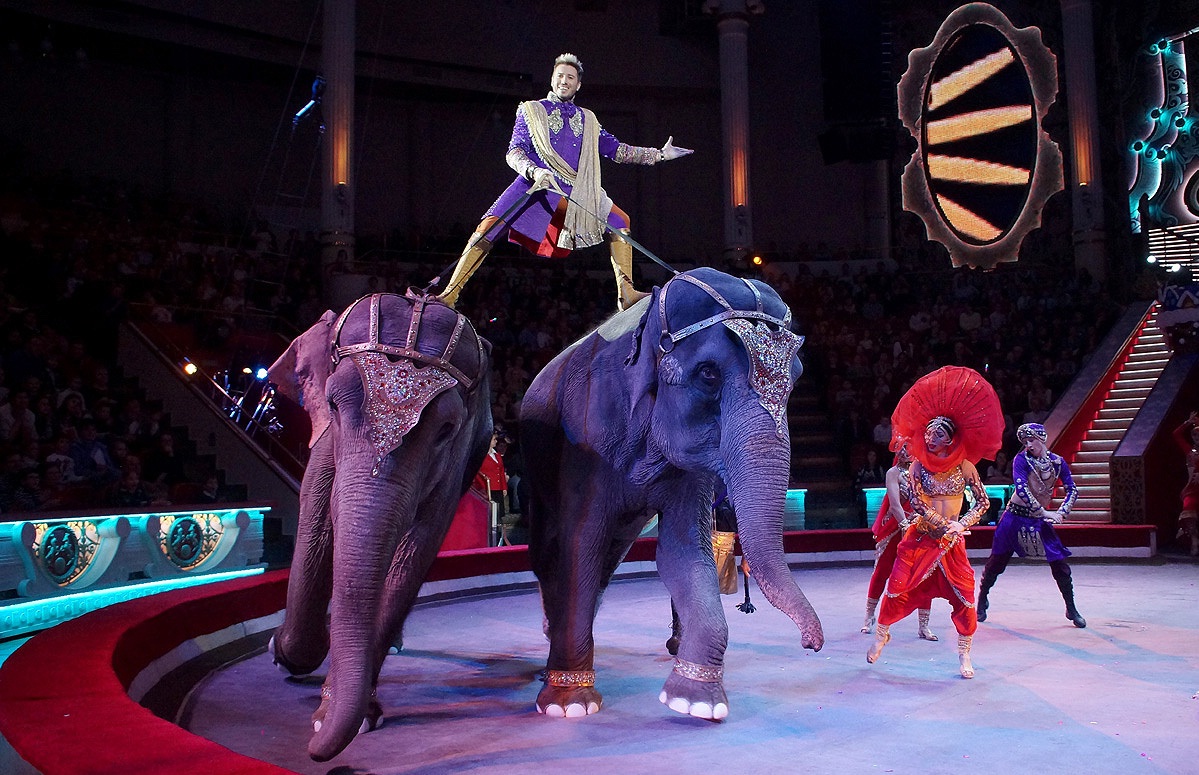 Московский цирк на цветном бульваре фото