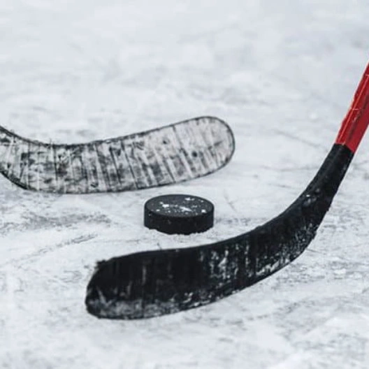 Хоккейное противостояние в Ледовом дворце: СКА против Витязя
