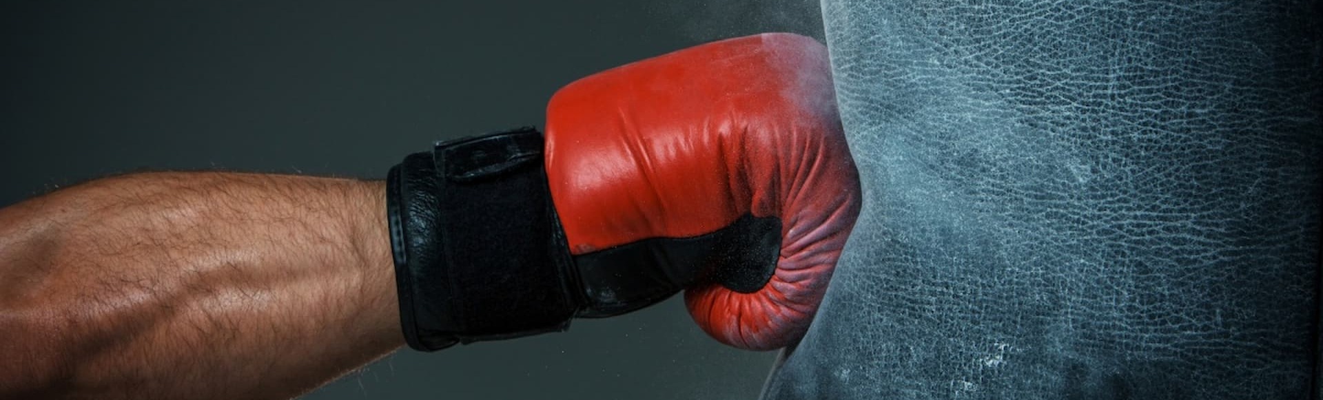 Билеты на Бои без правил Fight Riot Open FC Билеты на Бои без правил Fight Riot Open FC