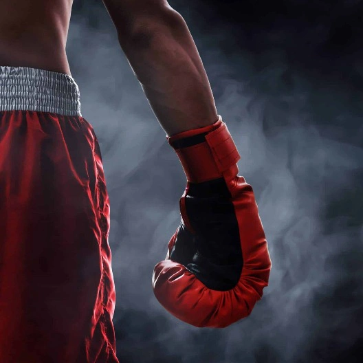 Невероятные битвы на ринге: легендарная встреча боксеров в рамках матча века