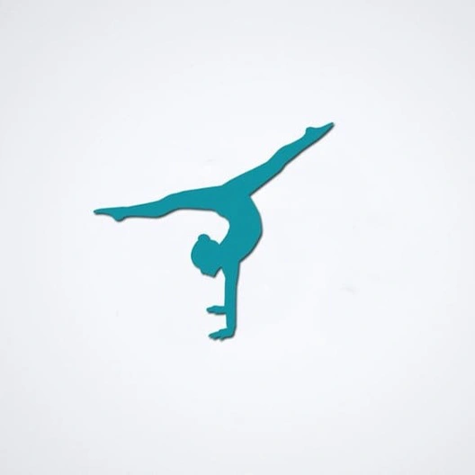 Летний Кубок по художественной гимнастике состоится в Лужниках 28 июля