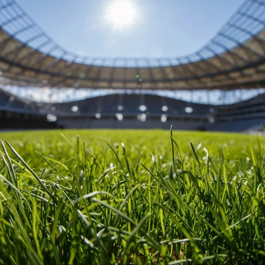 Краснодар против Балтики: Не пропустите увлекательное спортивное событие на стадионе "Краснодар Арена"