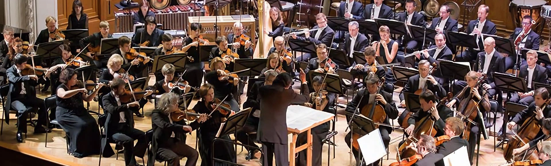Концерт камерного оркестра Quantum Satis представит восхитительное аутентичное исполнение на старинных инструментах!