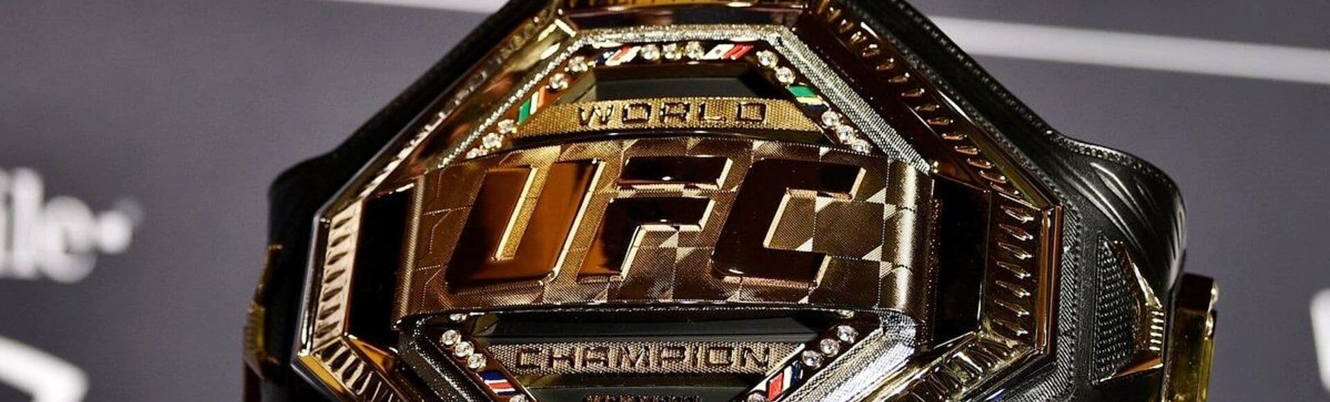 Билеты на турнир UFC 284. Ислам Махачев vs Александр Волкановски Билеты на турнир UFC 284. Ислам Махачев vs Александр Волкановски