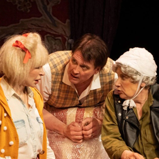 Спектакль «Семейный переполох» в Зимнем театре: яркая комедия, заставляющая смеяться до слез.