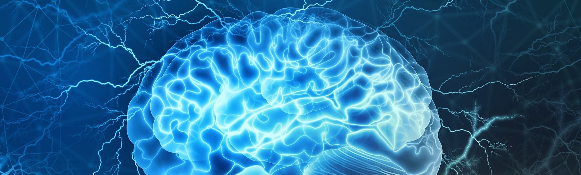 Билеты на международную конференцию о мозге и мышлении Brain Билеты на международную конференцию о мозге и мышлении Brain