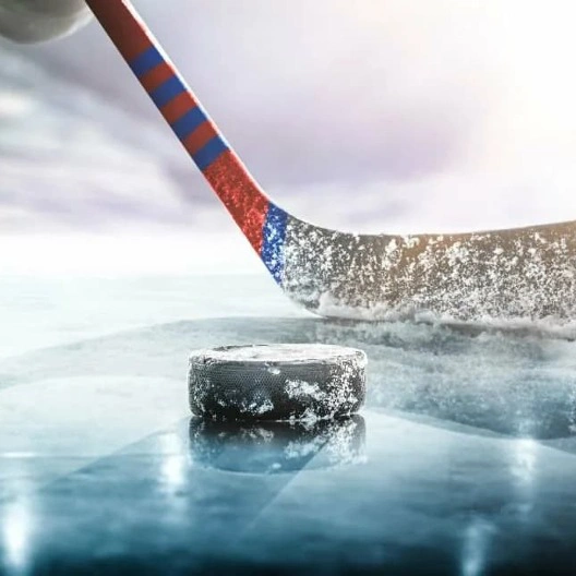 Горячая хоккейная битва в Ледовом дворце Санкт-Петербурга: СКА - Витязь!