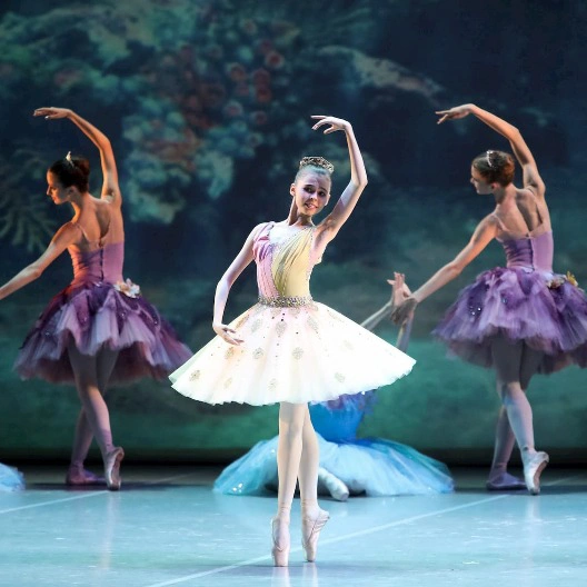 Гала-концерт звезд балета