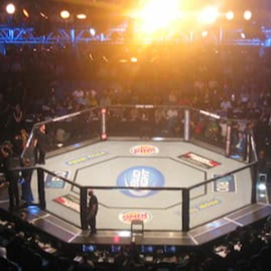 UFC 287