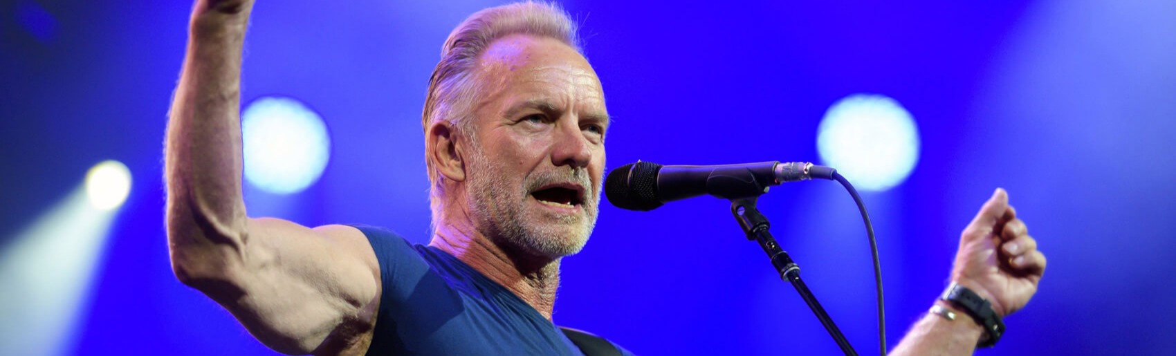 Sting в Киеве Sting в Киеве