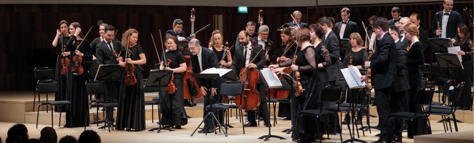 Оркестр Musica viva, Дмитрий Синьковский (скрипка) Оркестр Musica viva, Дмитрий Синьковский (скрипка)