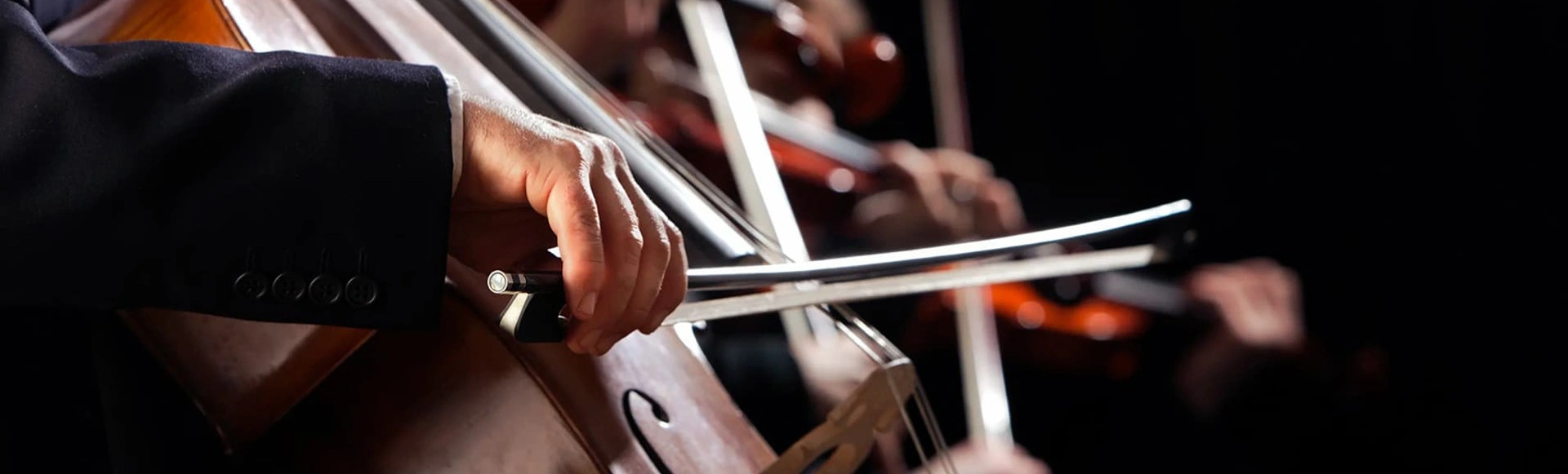 Артисты оркестров соло и в ансамблях
