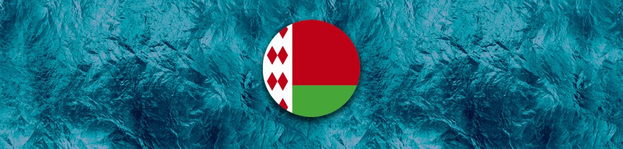 Национальная сборная Беларуси на Газпром Арене