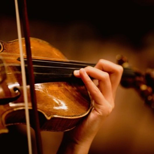 В августе в Сочи пройдет I Сочинский фестиваль классической музыки
