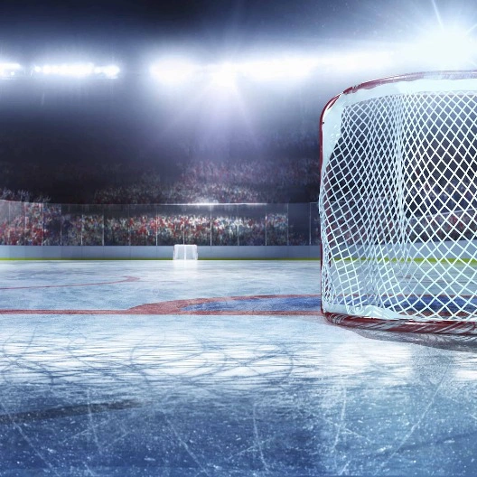 Сибирь VS Ак Барс: Хоккейный матч на Сибирь-Арене!