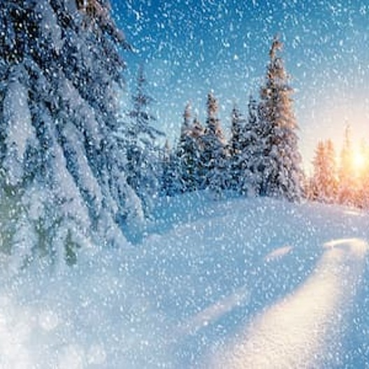 Купить билеты в театр “Уголок дедушки Дурова”