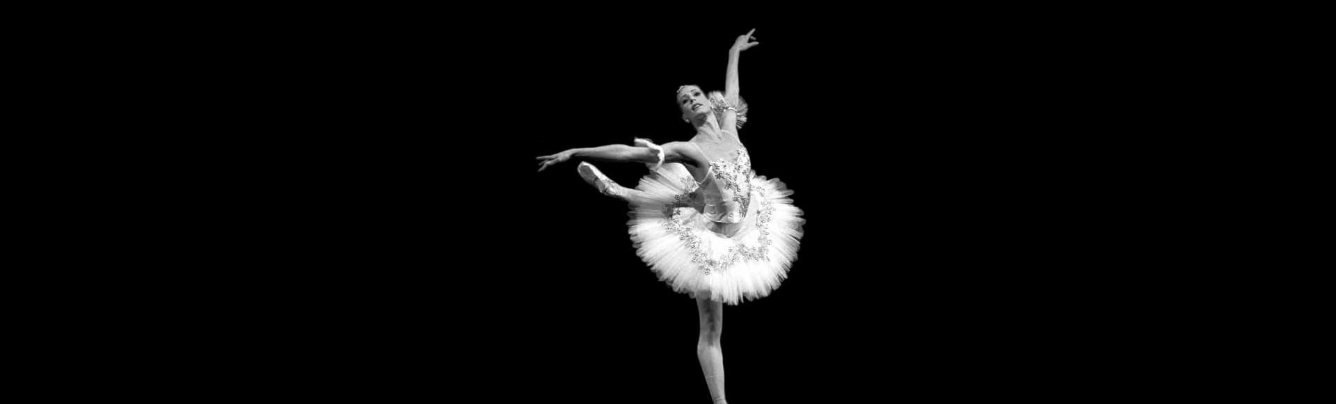 Я люблю балет. Концерт МГХУ имени Л.М. Лавровского